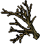 dead tree