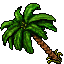 palm