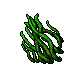 kelp