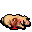 dead pig